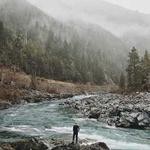 Freddy Nicolas Profile Picture