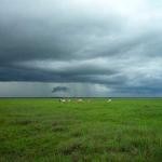 Bryon Carroll Profile Picture