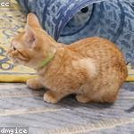 Vivien Bayer Profile Picture