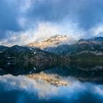 Courtney Abshire Profile Picture