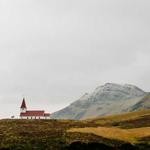 Harmony Pfeffer Profile Picture