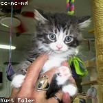 Christina Blanda Profile Picture