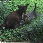 Garrett Metz Profile Picture