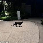 Garrick Dietrich Profile Picture