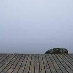 Sonny Runte Profile Picture