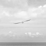 Dora Feeney Profile Picture