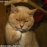 Perry Lindgren Profile Picture