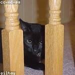 Amya Roberts Profile Picture