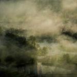 Jason Zulauf Profile Picture