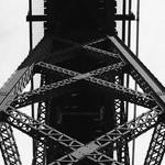 Sheldon Shields Profile Picture