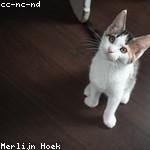 Nayeli Mayert Profile Picture