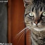 Audreanne Dooley Profile Picture