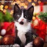 Estelle Weber Profile Picture