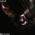 Harvey Stanton Profile Picture