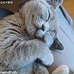 Sallie Bernhard Profile Picture