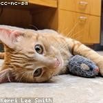 Emmie Keebler Profile Picture