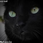 Murphy Kuhic Profile Picture