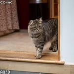 Elsa Bauch Profile Picture