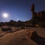 Hannah Herman Profile Picture