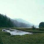 Ed Olson Profile Picture