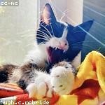 Lon VonRueden Profile Picture