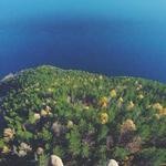 Jamar Bauch Profile Picture