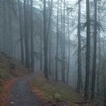 Quentin Kuphal Profile Picture