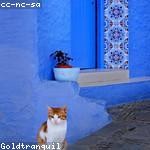 Adonis Fadel Profile Picture