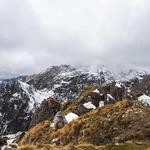 Ryleigh Ullrich Profile Picture