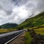 Beatrice McClure Profile Picture