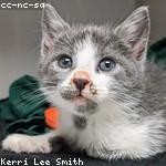 Verna Ledner Profile Picture