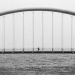 Tanner Marks Profile Picture