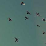 Arch Kilback Profile Picture