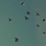 Arch Kilback Profile Picture