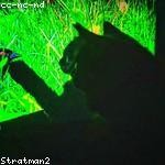 Itzel Lind Profile Picture