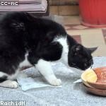 Emilie Kling Profile Picture