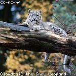 Carter Thiel Profile Picture