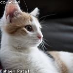 Trace Schultz Profile Picture