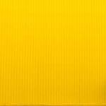 Cristian Goodwin Profile Picture