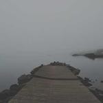 Oleta Weber Profile Picture