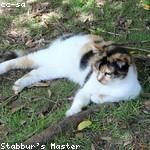 Reggie Bartoletti Profile Picture