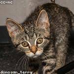 Alexa Bailey Profile Picture