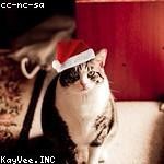 Susan Heidenreich Profile Picture