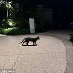 Kenny Cummings Profile Picture