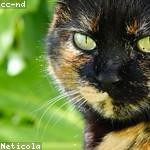 Freeda Bernhard Profile Picture