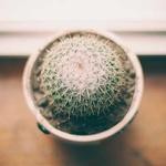 Wilfrid Kohler Profile Picture