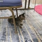 Madisyn Wehner Profile Picture