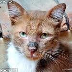 Coby Trantow Profile Picture