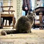 Armando Flatley Profile Picture