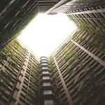 Creola Effertz Profile Picture